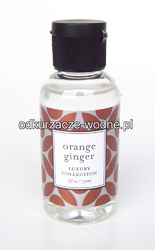 FRG-Ingwer-Ginger.jpg