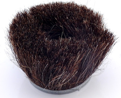 DSCN4401.jpg