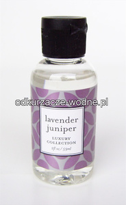 FRG-Lavendel-Lavender.jpg